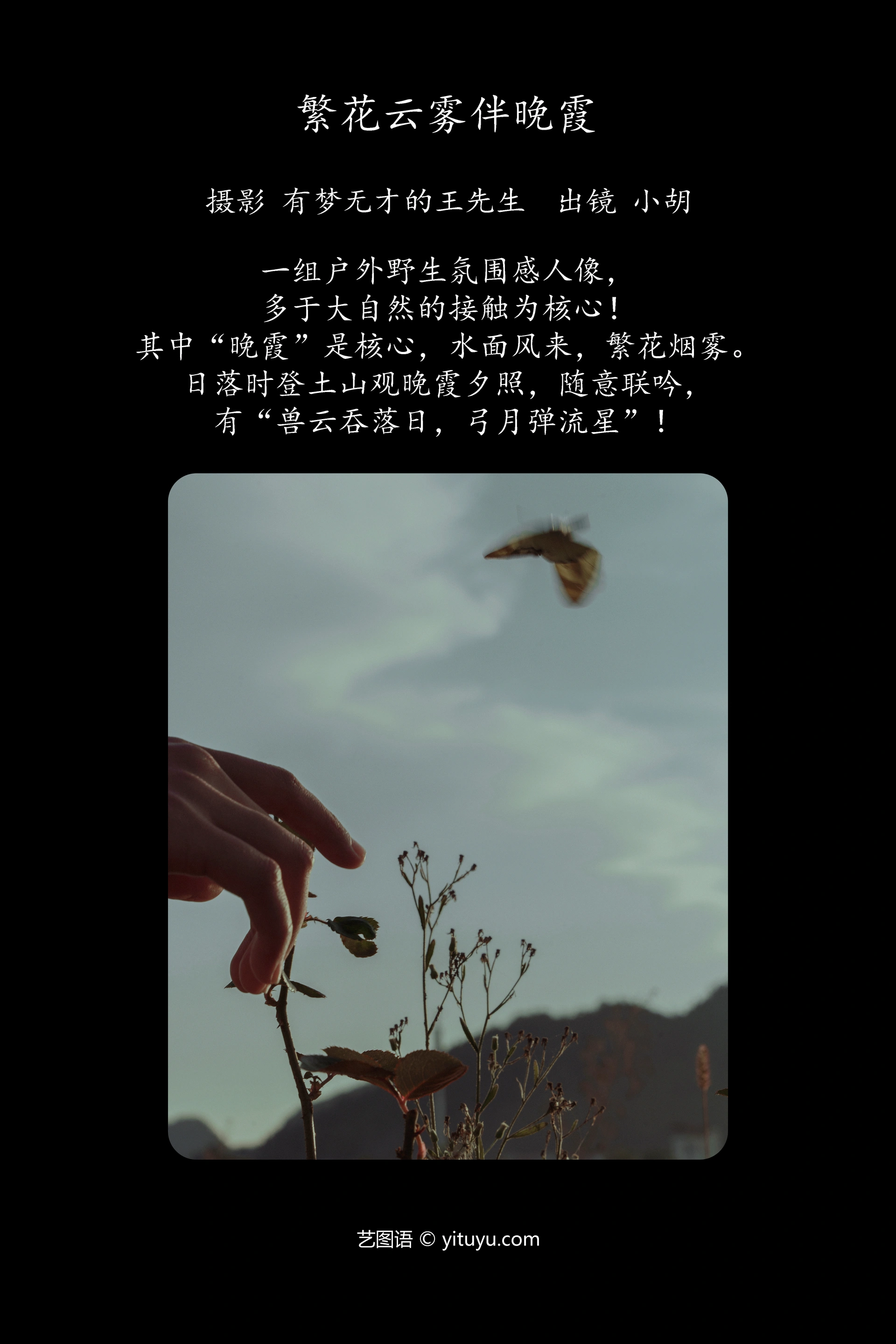 [YITUYU艺图语]2023.12.16 繁花云雾伴晚霞 小胡 1
